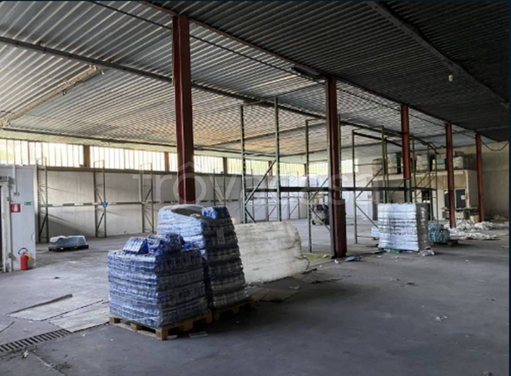 immagine annuncio 3 di 13