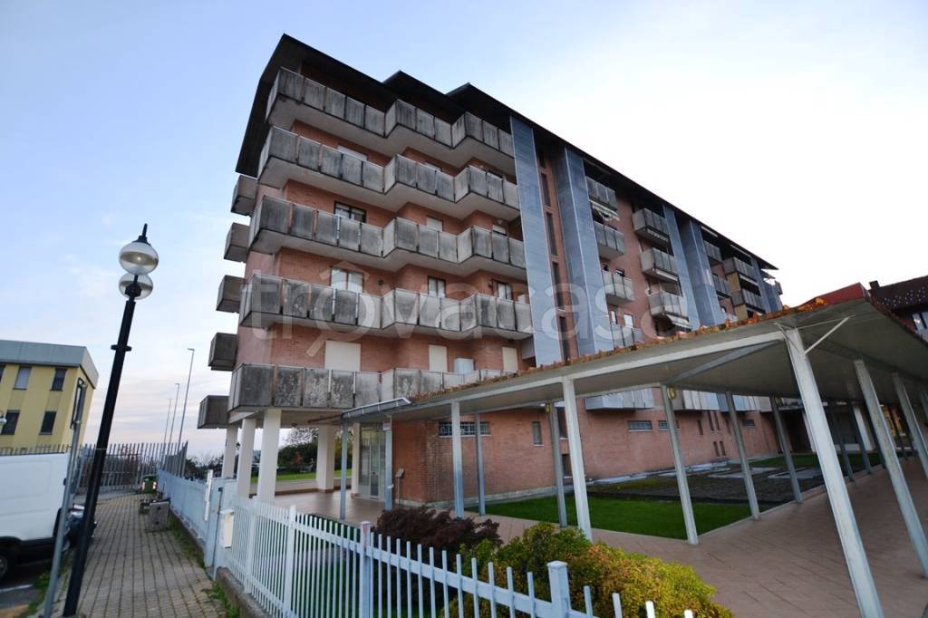 immagine annuncio 6 di 15