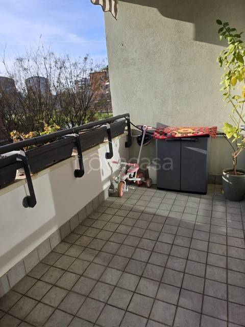 immagine annuncio 12 di 14