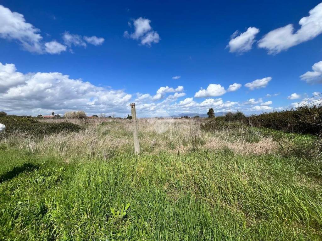 immagine annuncio 2 di 14