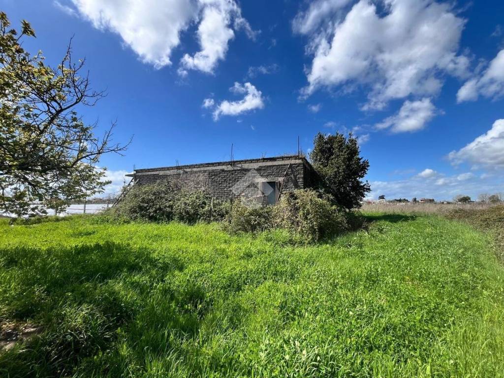 immagine annuncio 4 di 14