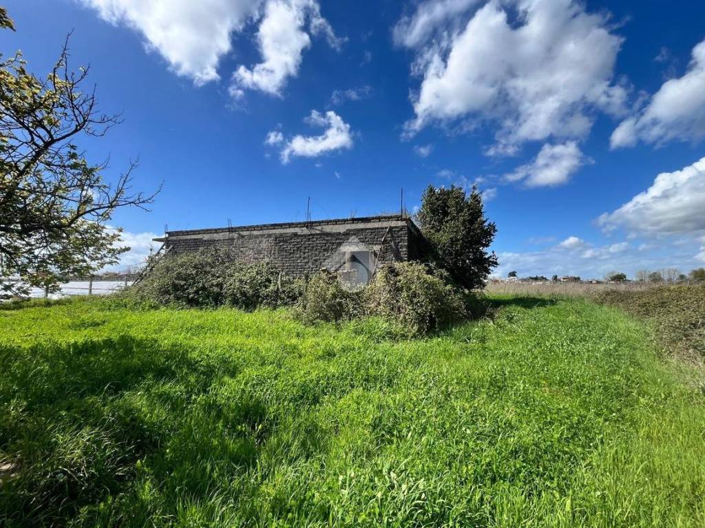 immagine annuncio 6 di 14