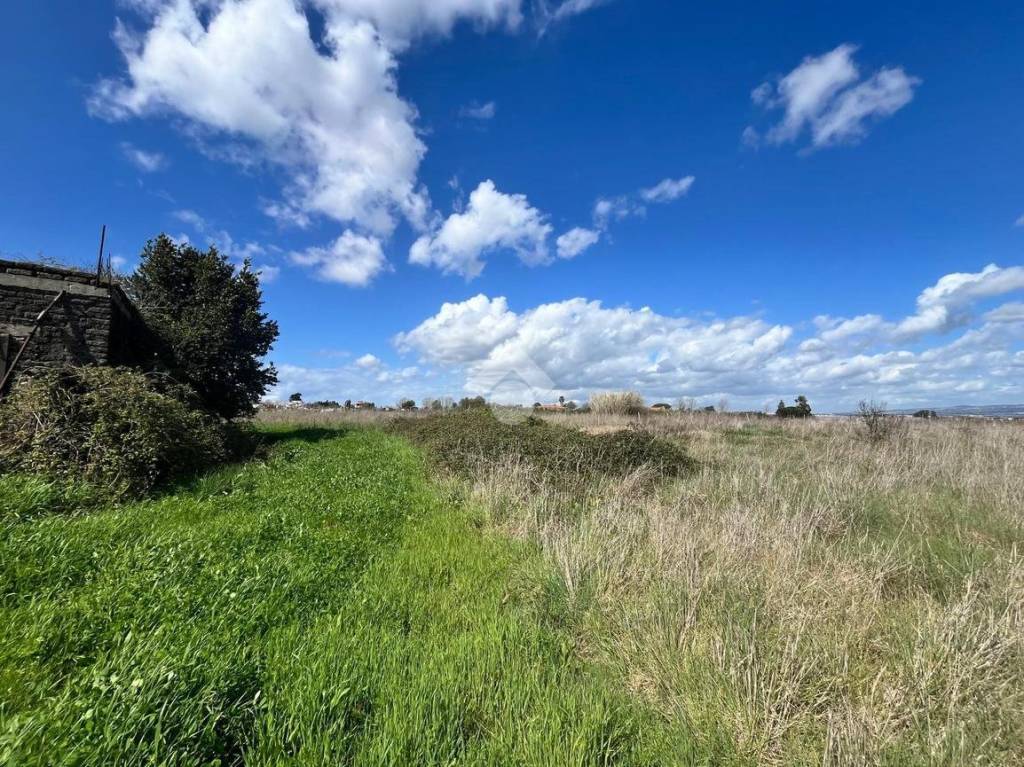 immagine annuncio 7 di 14