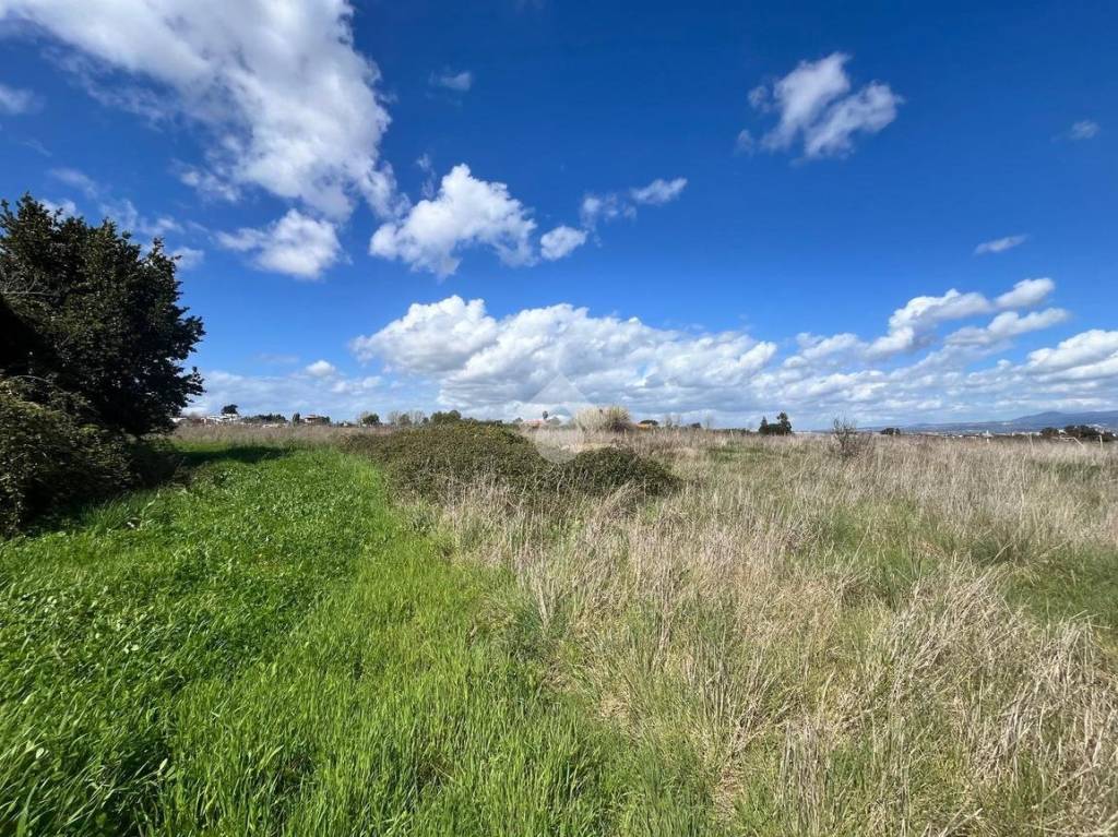 immagine annuncio 8 di 14