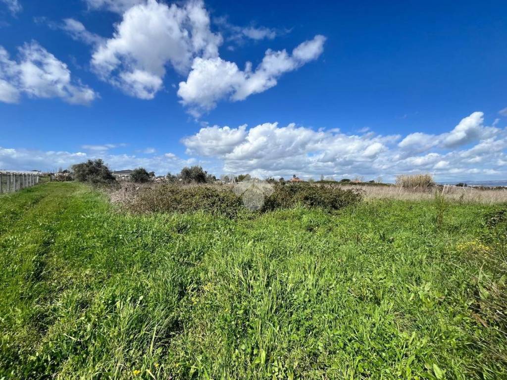 immagine annuncio 10 di 14