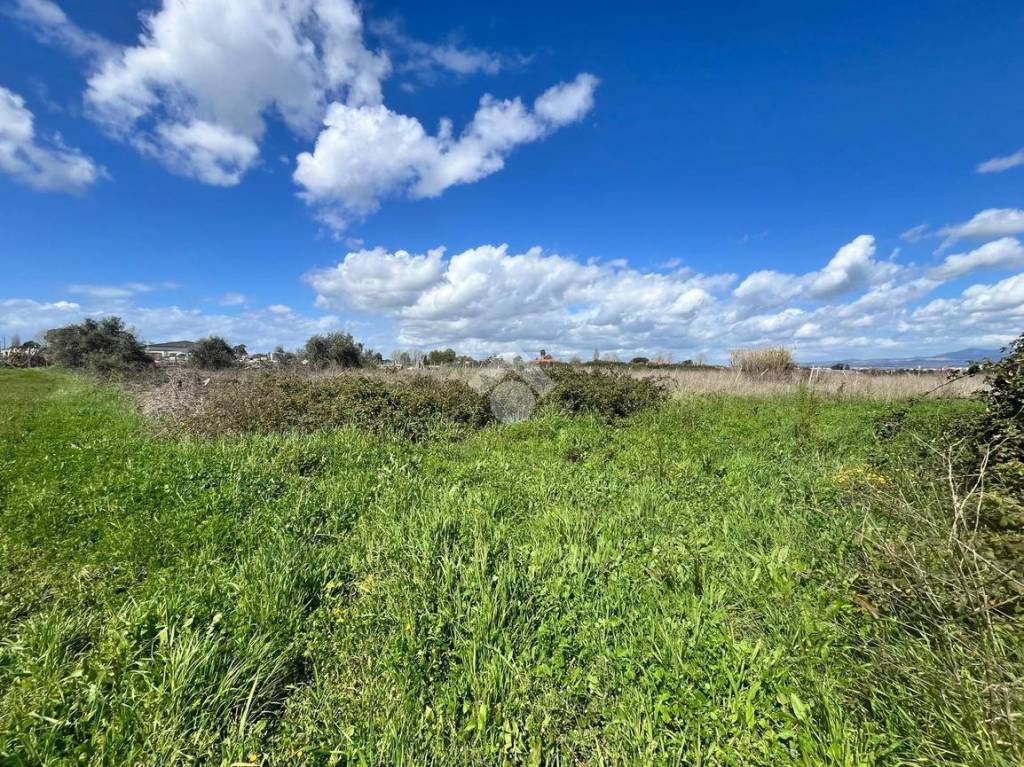 immagine annuncio 11 di 14