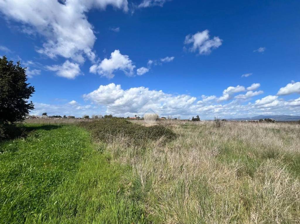 immagine annuncio 12 di 14