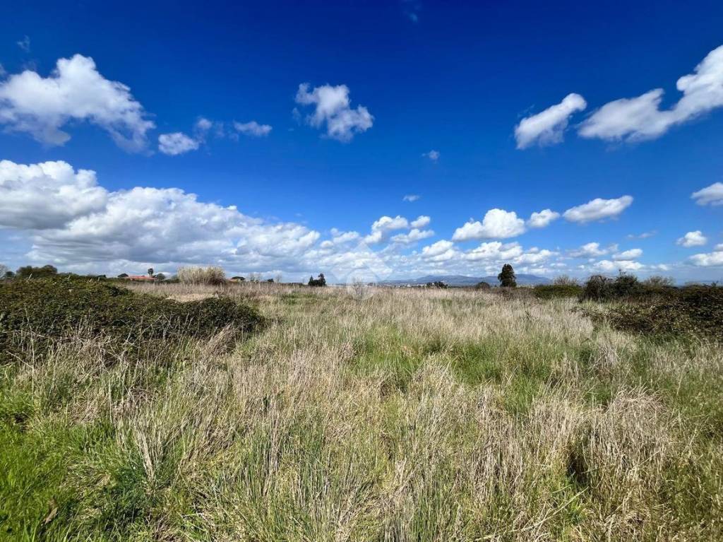 immagine annuncio 13 di 14