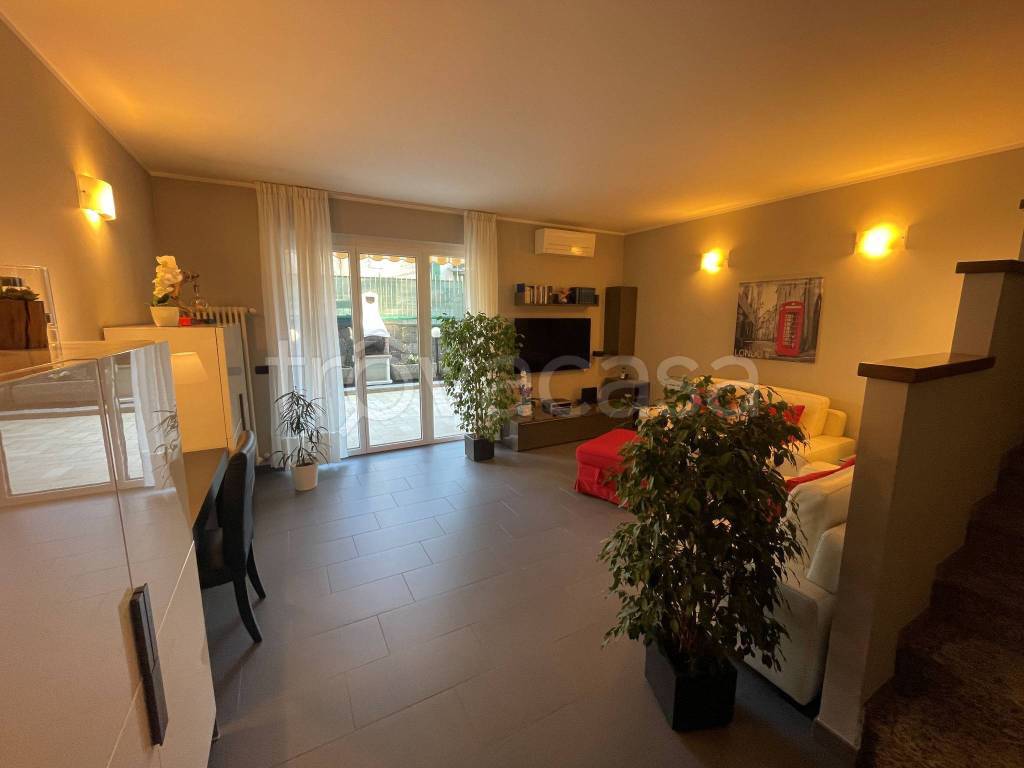 immagine annuncio 3 di 12