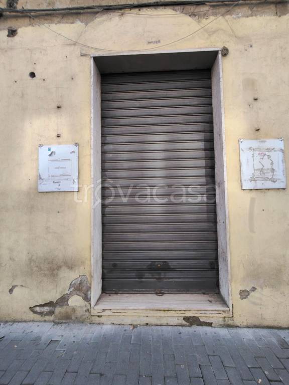 immagine annuncio 2 di 4