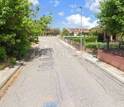 immagine annuncio 5 di 14