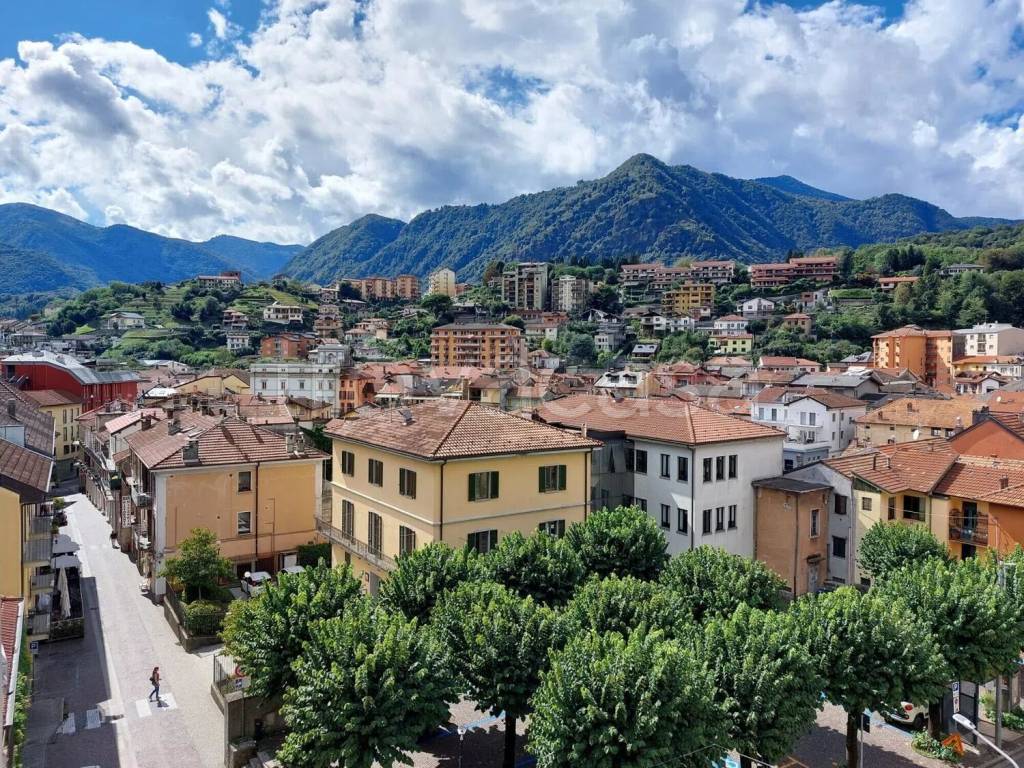 immagine annuncio 11 di 13