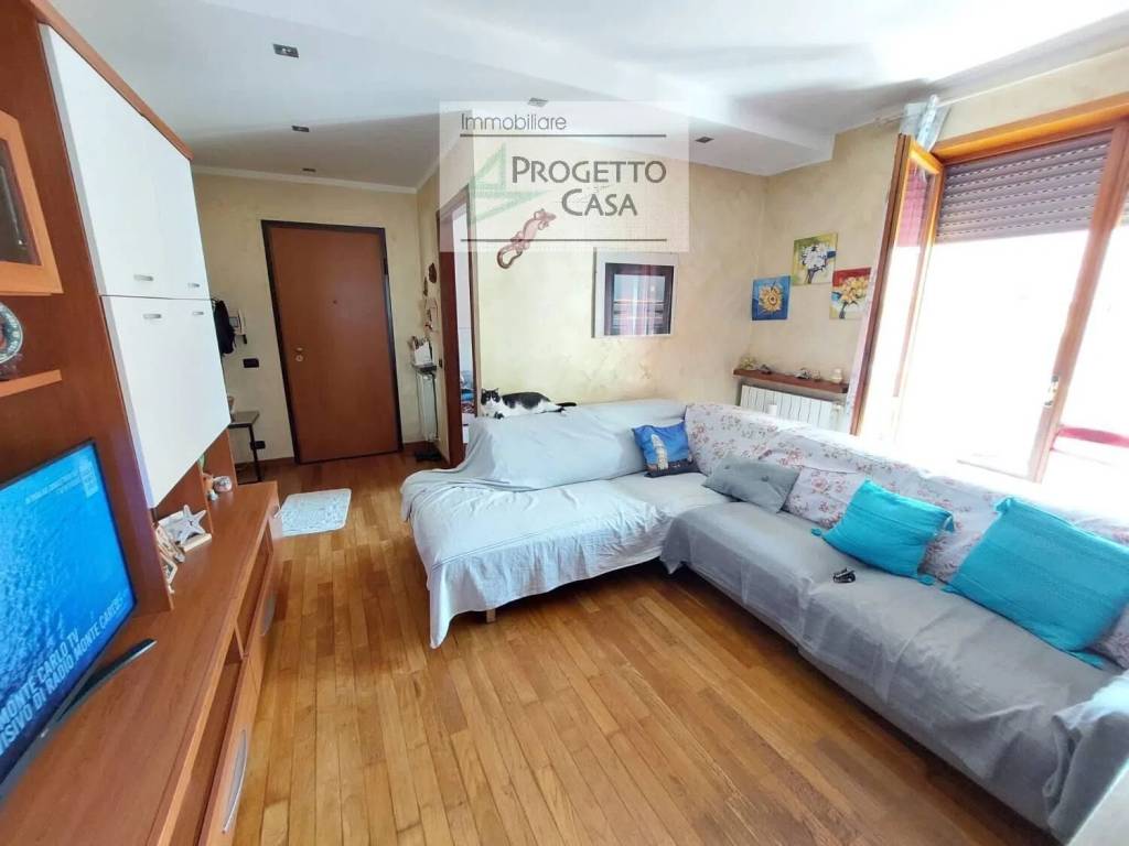 immagine annuncio 3 di 11