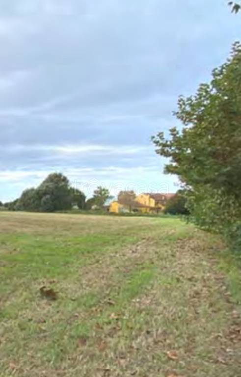 immagine annuncio 4 di 9