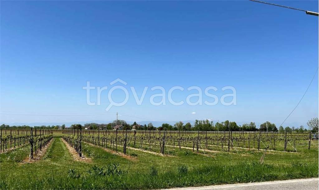 immagine annuncio 4 di 6