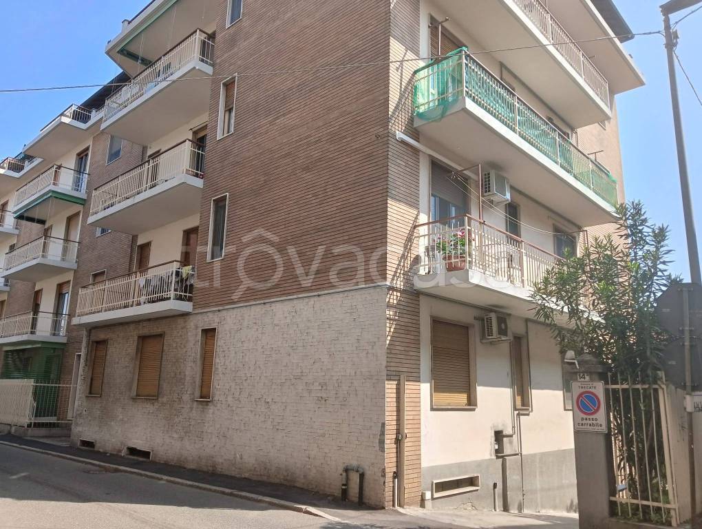 immagine annuncio 1 di 14