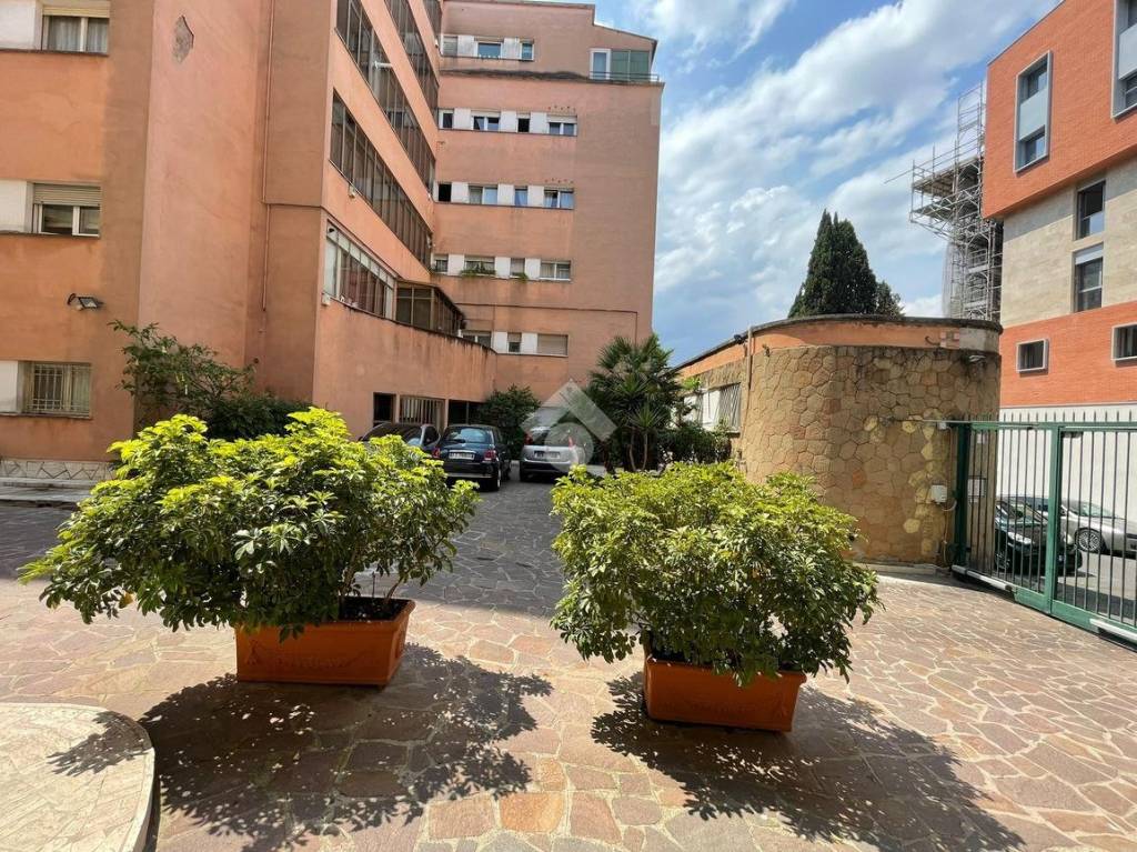 immagine annuncio 5 di 8