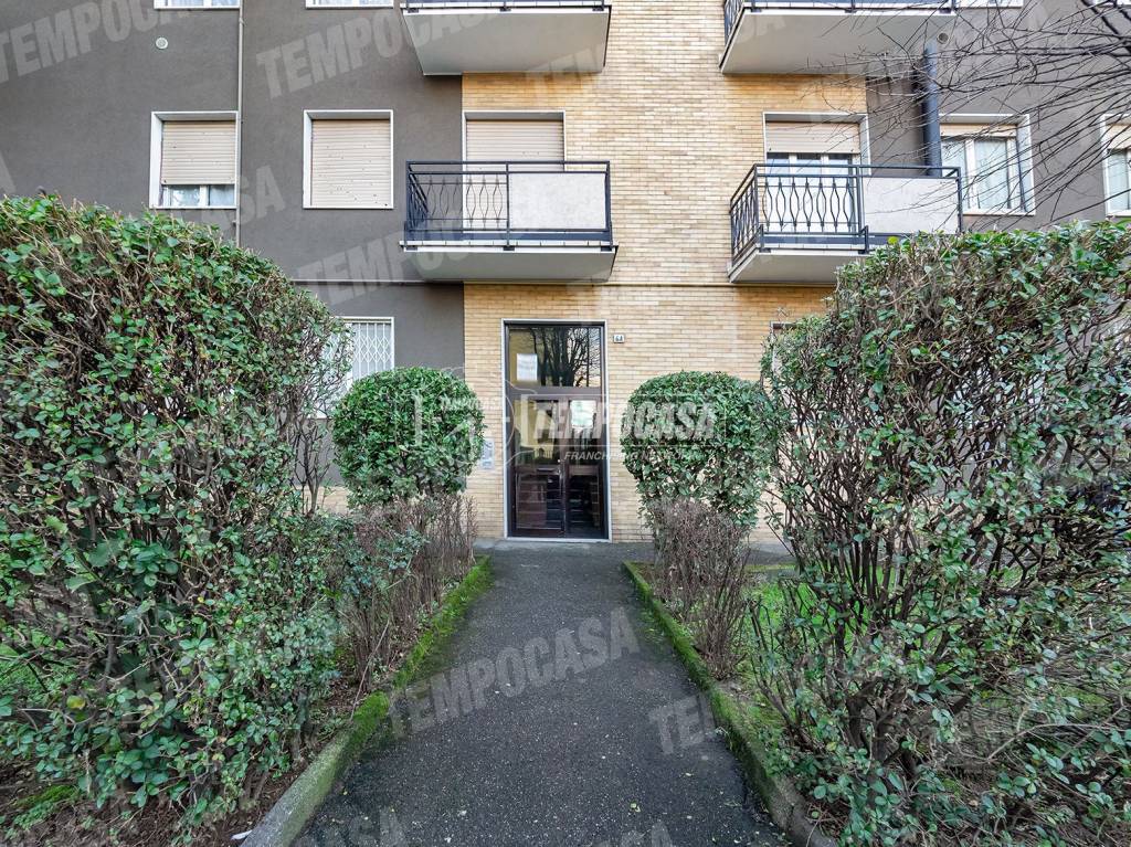 immagine annuncio 3 di 13