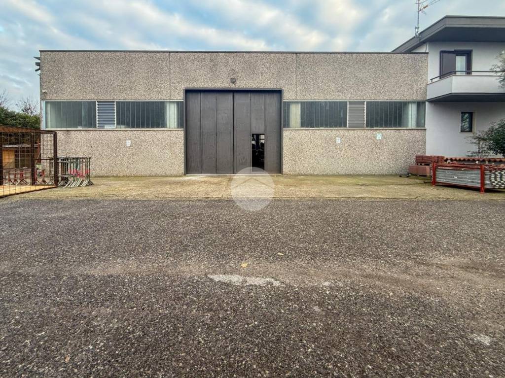 immagine annuncio 11 di 15