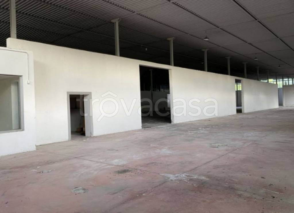 immagine annuncio 4 di 12