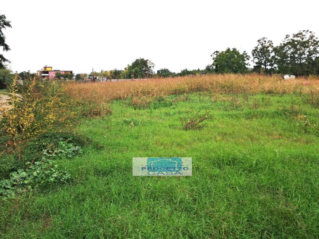 immagine annuncio 3 di 14