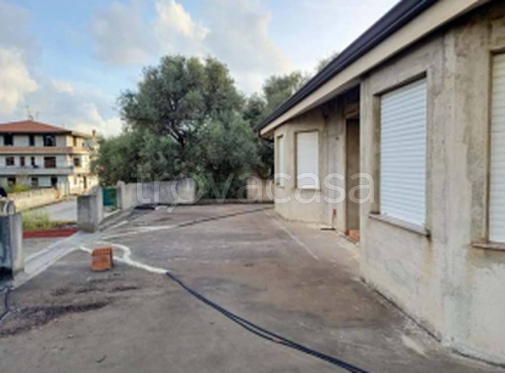 immagine annuncio 6 di 11