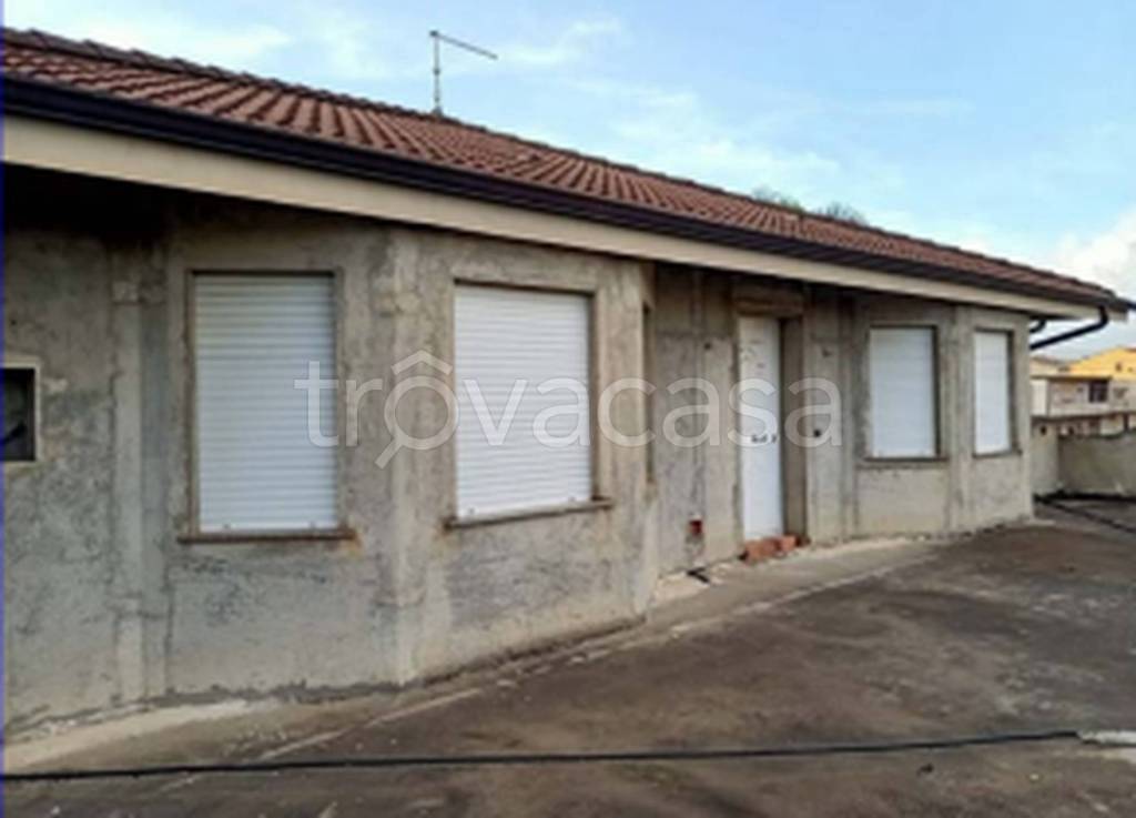 immagine annuncio 7 di 11