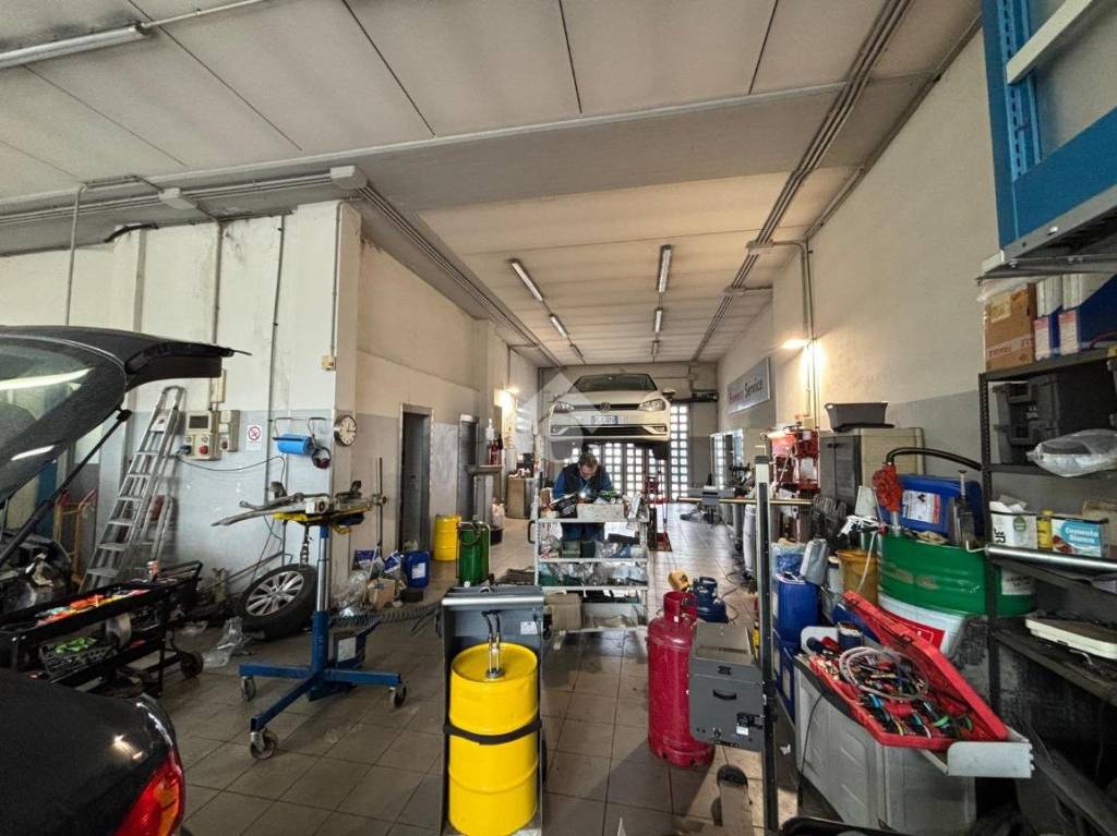 immagine annuncio 1 di 15