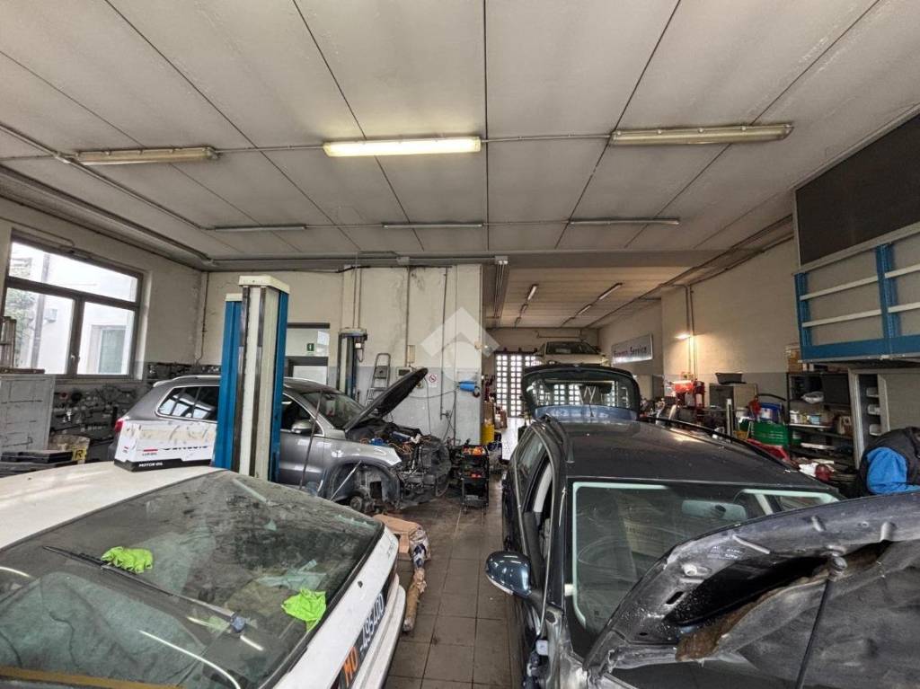 immagine annuncio 8 di 15