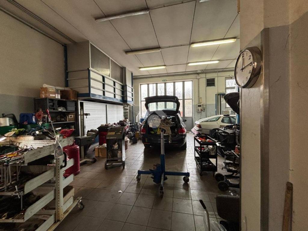 immagine annuncio 9 di 15