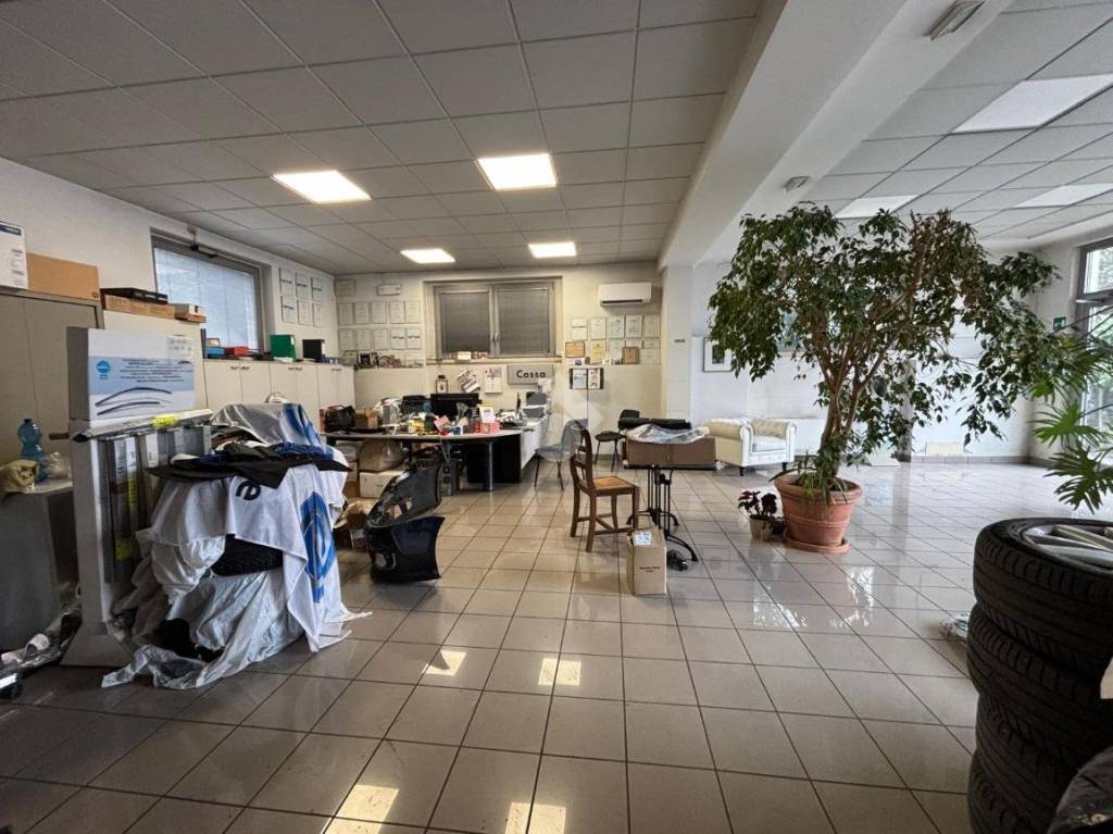 immagine annuncio 12 di 15