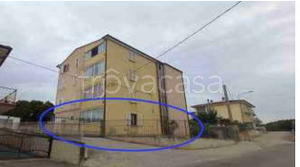 immagine annuncio 1 di 14