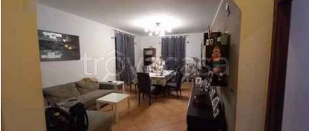 immagine annuncio 7 di 14