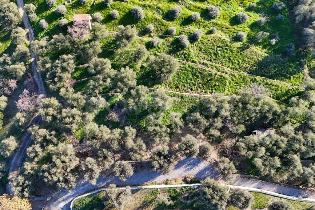 immagine annuncio 3 di 8