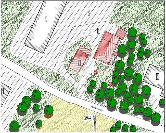 immagine annuncio 6 di 12