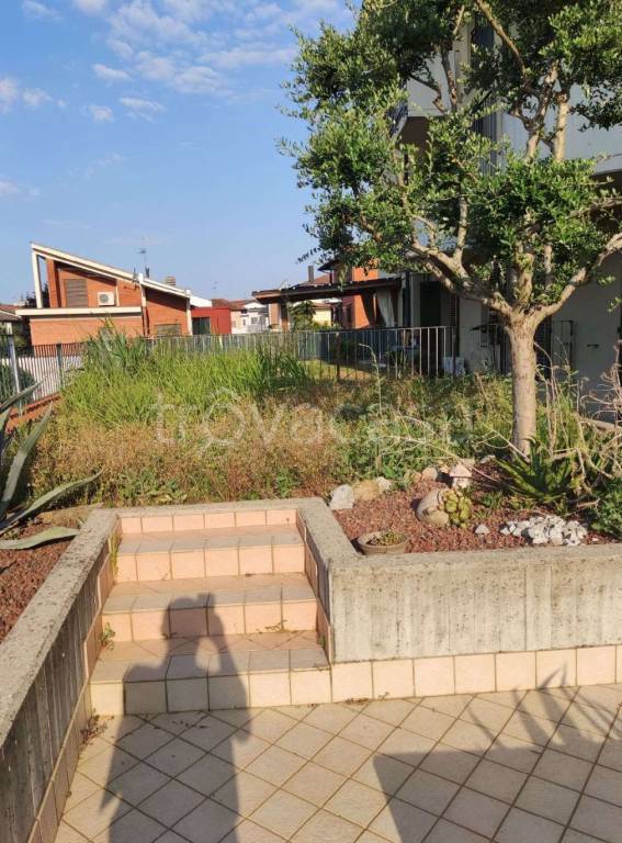 immagine annuncio 1 di 14