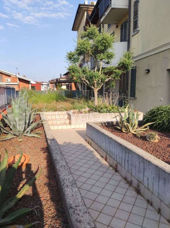 immagine annuncio 2 di 14