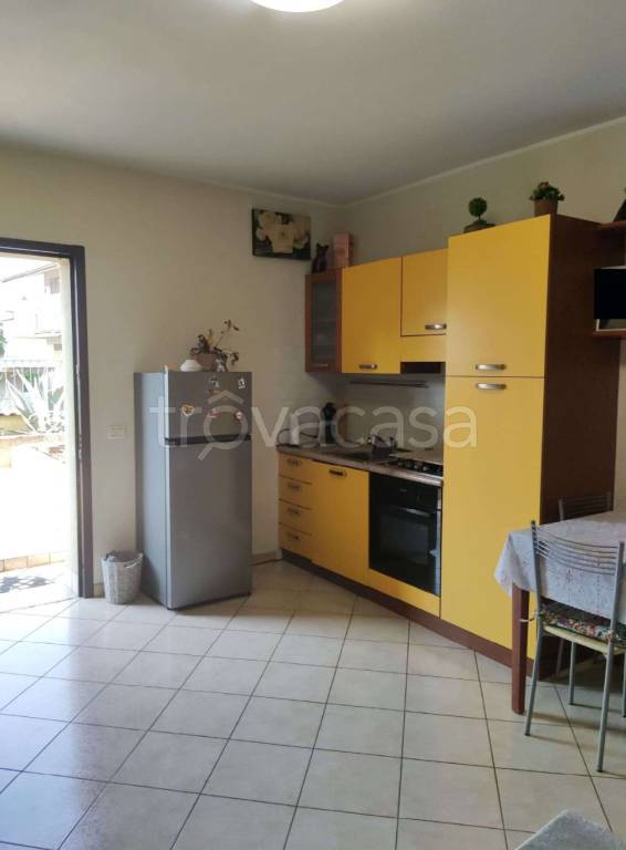 immagine annuncio 7 di 14