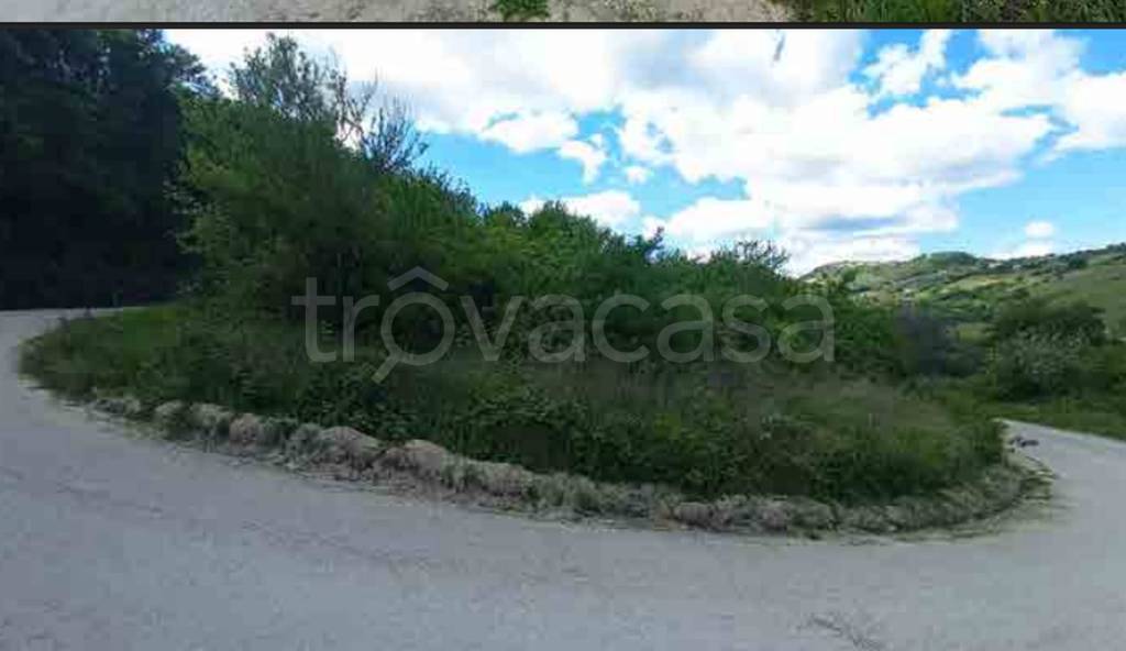 immagine annuncio 4 di 12