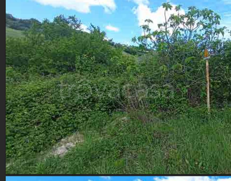 immagine annuncio 6 di 12