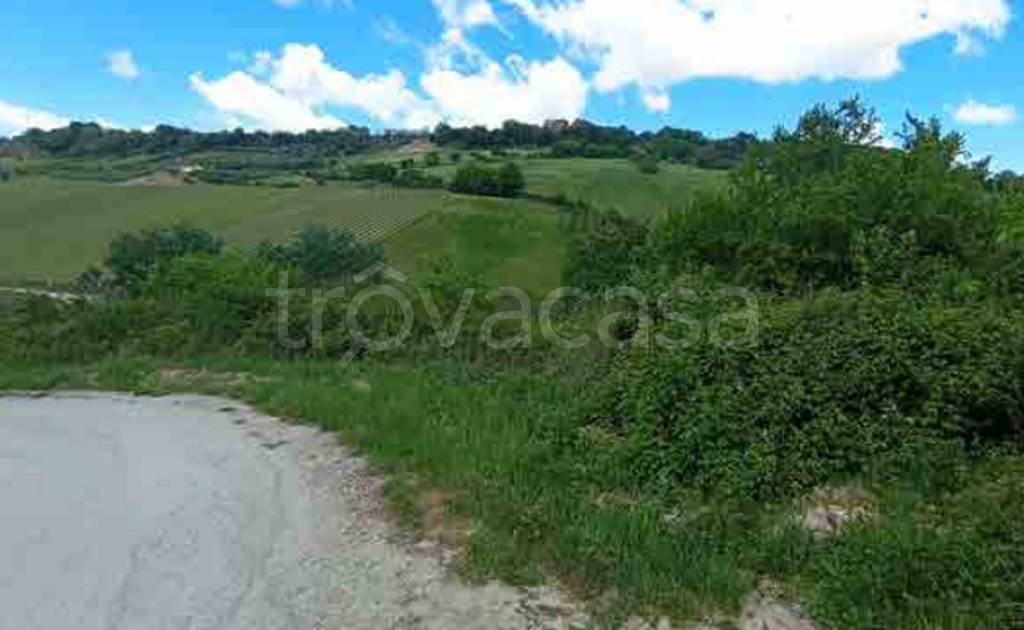 immagine annuncio 7 di 12