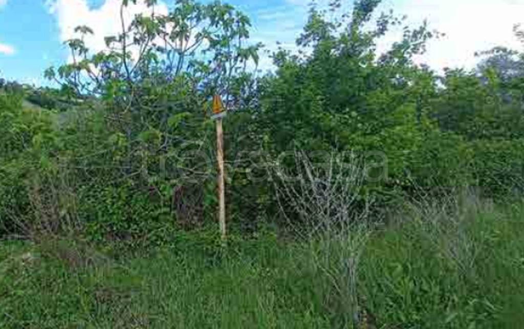 immagine annuncio 8 di 12