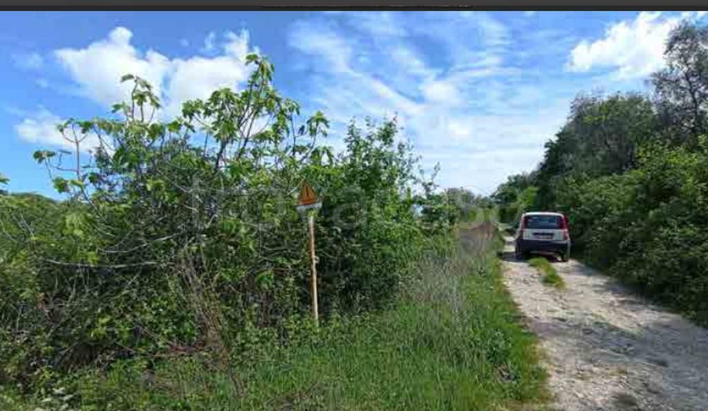 immagine annuncio 11 di 12