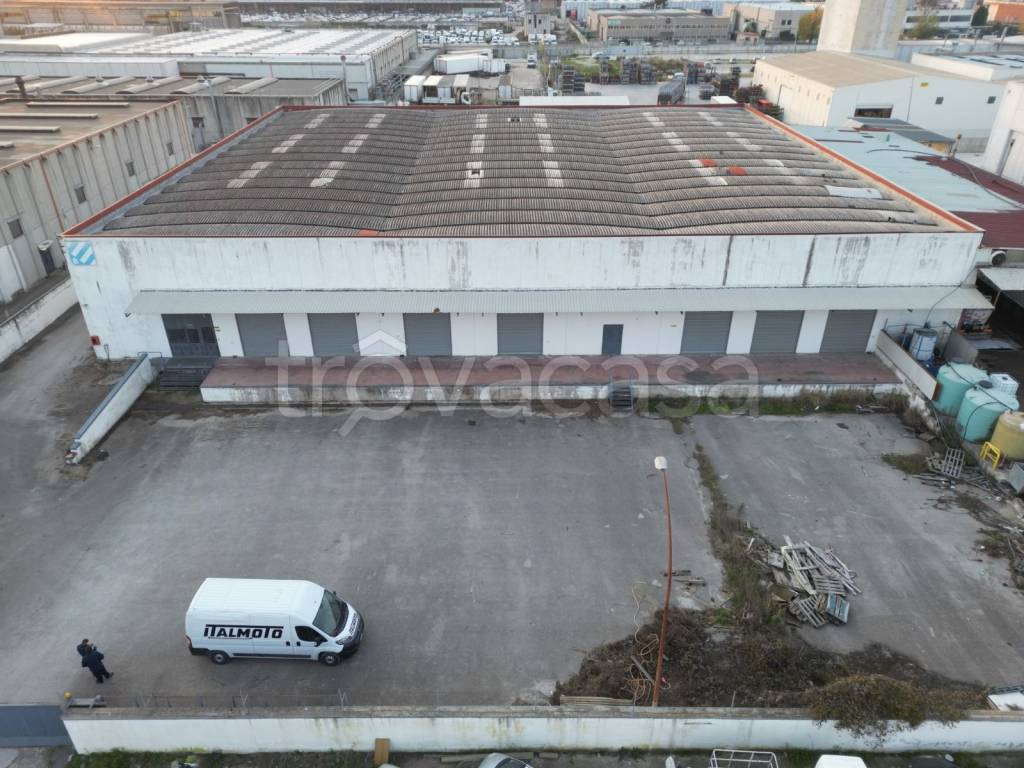 immagine annuncio 2 di 13