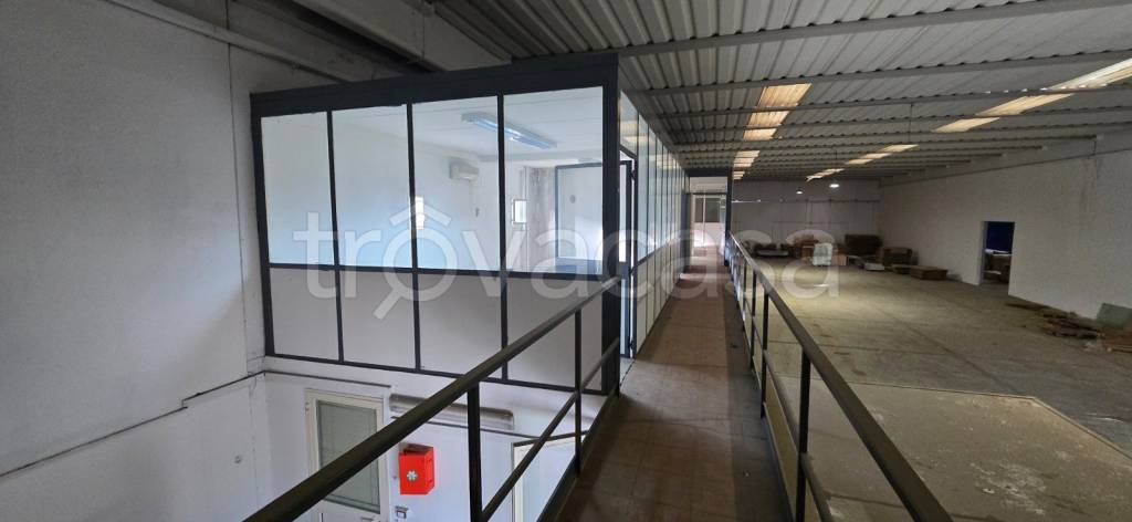 immagine annuncio 7 di 13