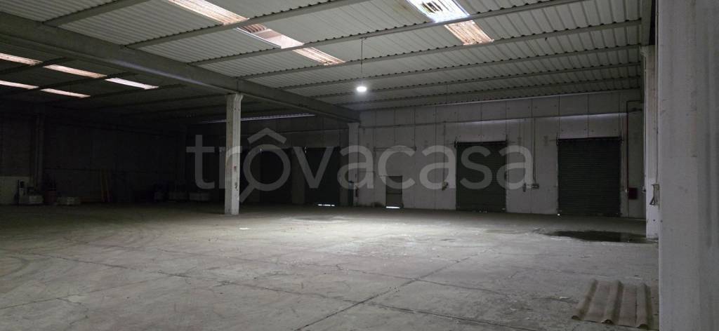 immagine annuncio 8 di 13