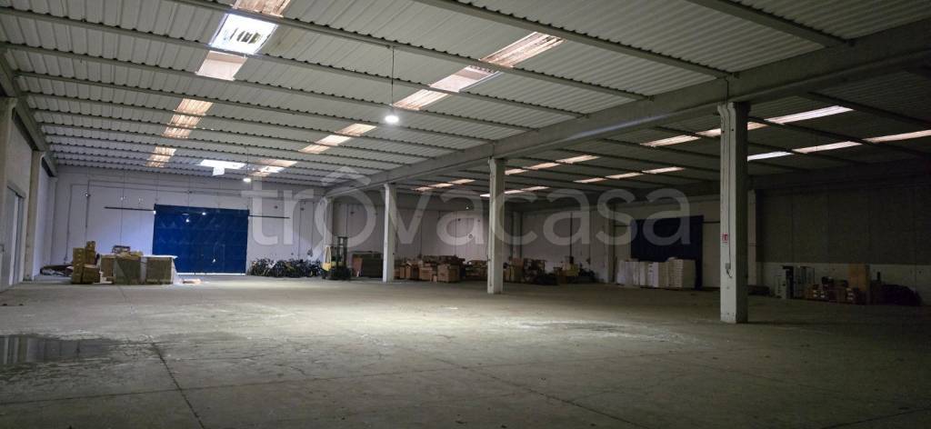 immagine annuncio 9 di 13