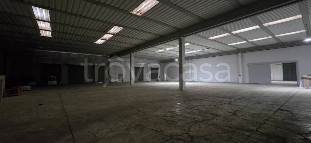 immagine annuncio 10 di 13