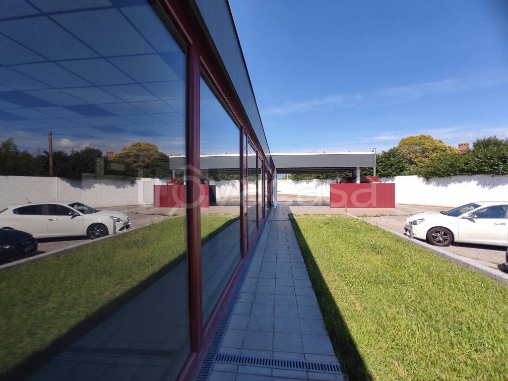 immagine annuncio 2 di 7