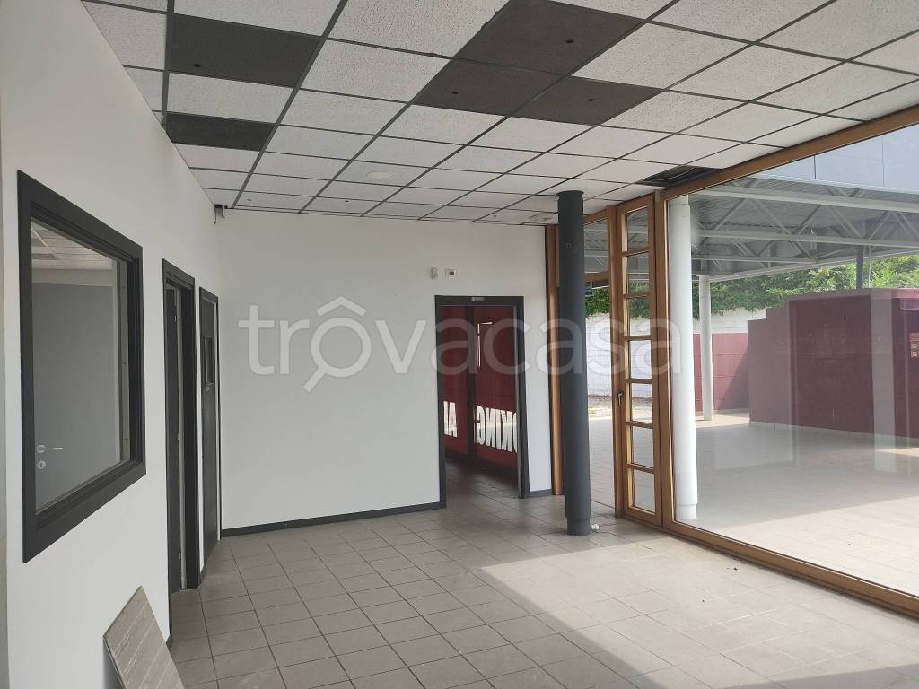 immagine annuncio 5 di 7